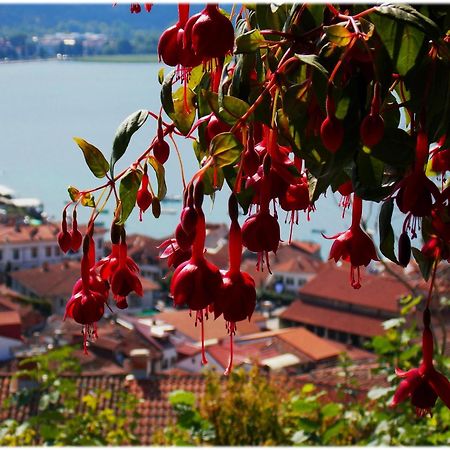Zura Apartments Ohrid Eksteriør bilde
