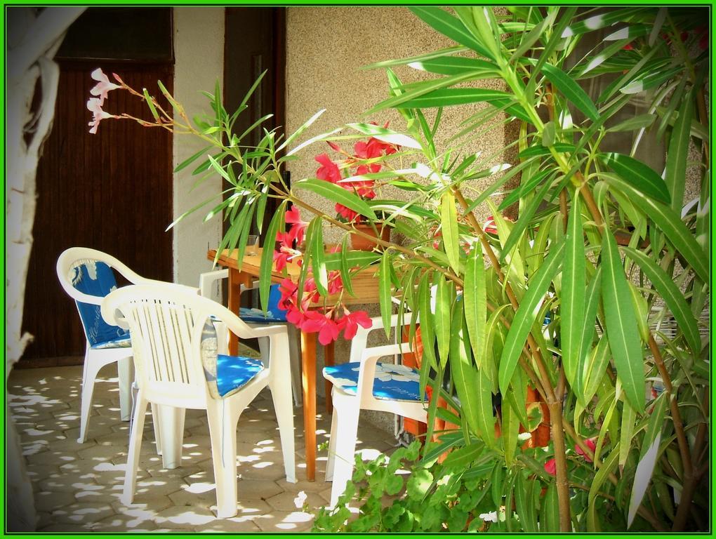 Zura Apartments Ohrid Rom bilde