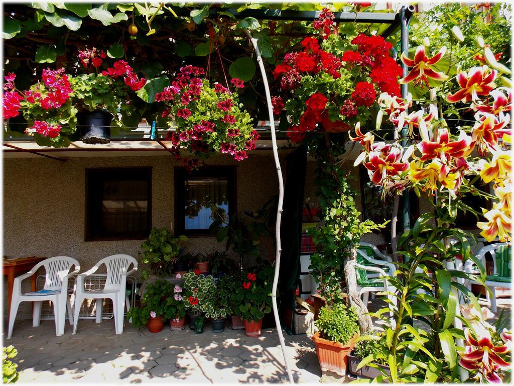 Zura Apartments Ohrid Eksteriør bilde