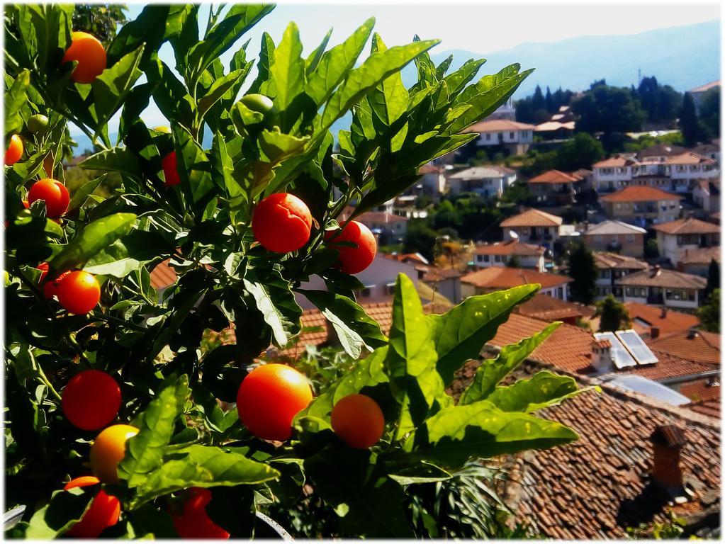 Zura Apartments Ohrid Eksteriør bilde